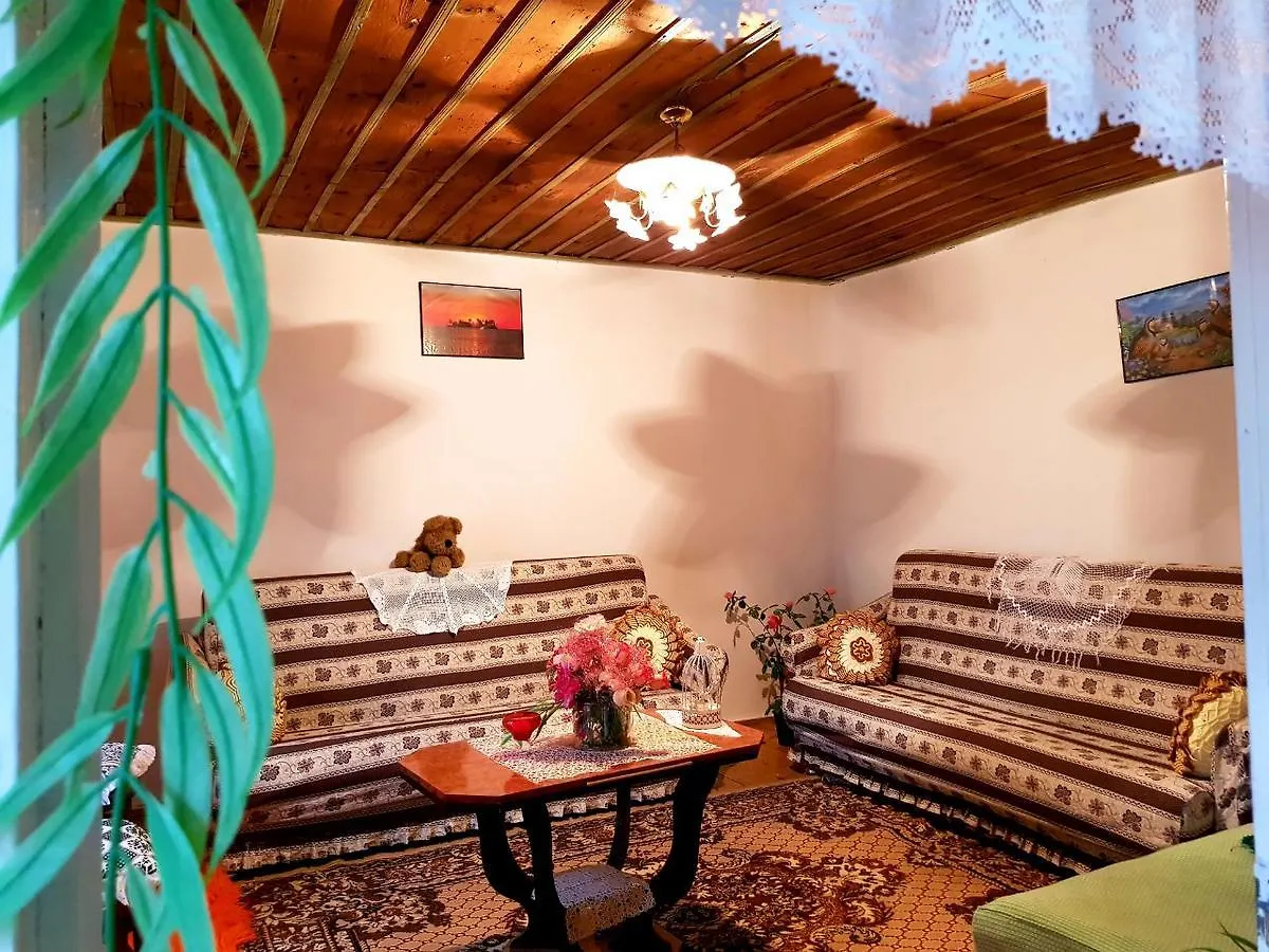 Bujtina Ajti Hotel Petran 0*,  Albania