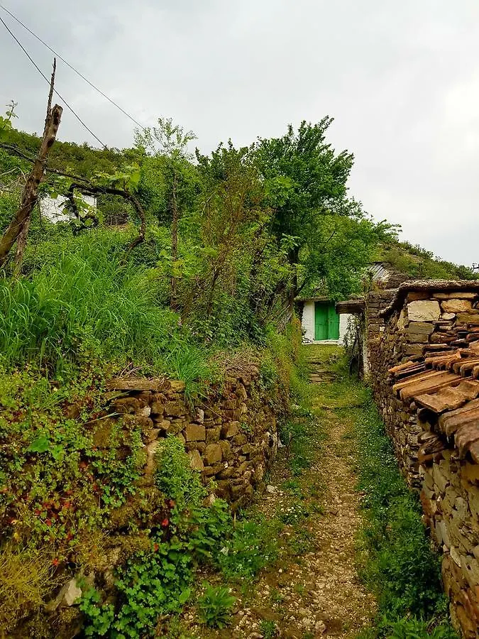 Bujtina Ajti Hotel Petran